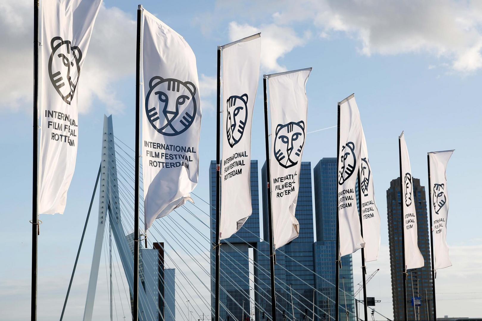 International Film Festival Rotterdam