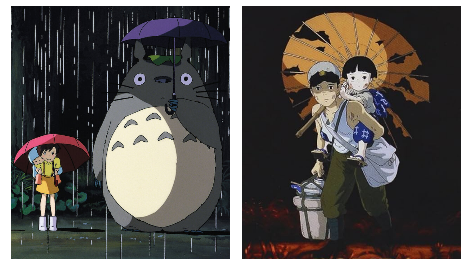 Il mio vicino Totoro Una tomba per le luccioele Studio Ghibli