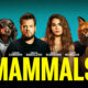 mammals