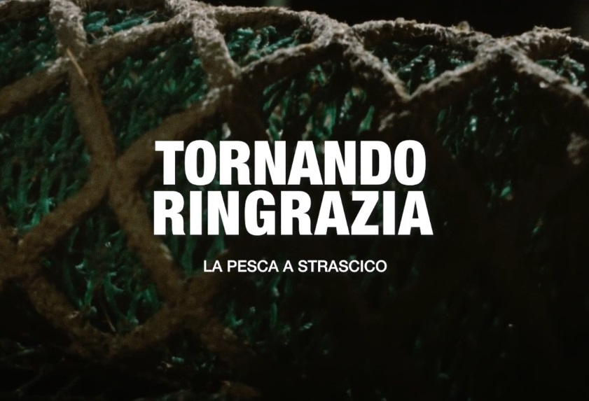 Tornando Ringrazia