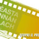 Irish Film Festa